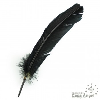 PLUMA DE PATO NEGRO SABLE CON PUNTA SESGADA 27cm BOLSA 2uds