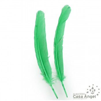 PLUMA DE PATO VERDE SABLE CON PUNTA SESGADA 27cm BOLSA 2uds