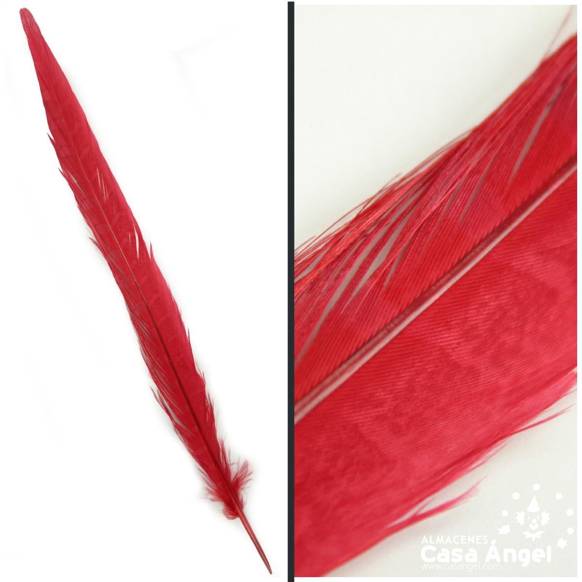THARAHT 24 plumas rojas naturales manchadas de ave de Guinea de 6 a 8  pulgadas a granel para manualidades, ropa, joyería, decoración de  bricolaje