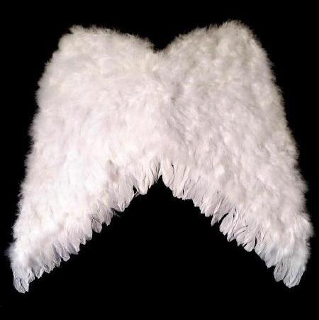 Alas de ángel grandes blancas, Ducaval