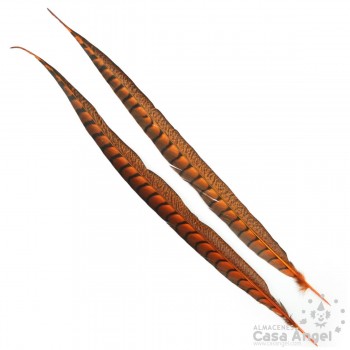 PLUMA COLA DE FAISÁN DOBLE LABRADO NARANJA 50cm