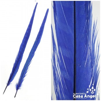 PLUMA FLECHA COLA DE FAISÁN TEÑIDA AZUL BOLSA 2uds 40cm