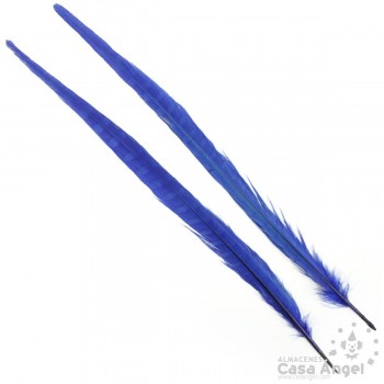 PLUMA FLECHA COLA DE FAISÁN TEÑIDA AZUL BOLSA 2uds 40cm