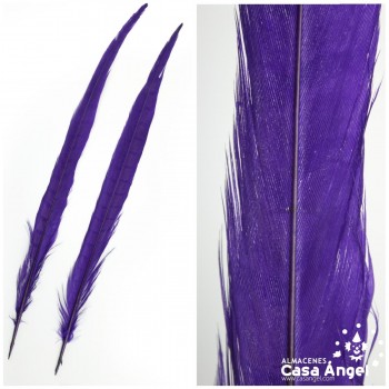 PLUMA FLECHA COLA DE FAISÁN TEÑIDA MORADO BOLSA 2uds 40cm