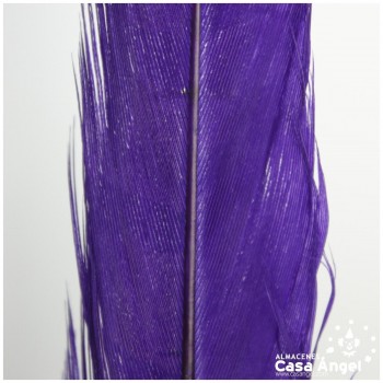 PLUMA FLECHA COLA DE FAISÁN TEÑIDA MORADO BOLSA 2uds 40cm