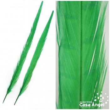 PLUMA FLECHA COLA DE FAISÁN TEÑIDA VERDE BOLSA 2uds 40cm