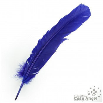 PLUMA DE PATO AZUL SABLE CON PUNTA SESGADA BOLSA 2uds